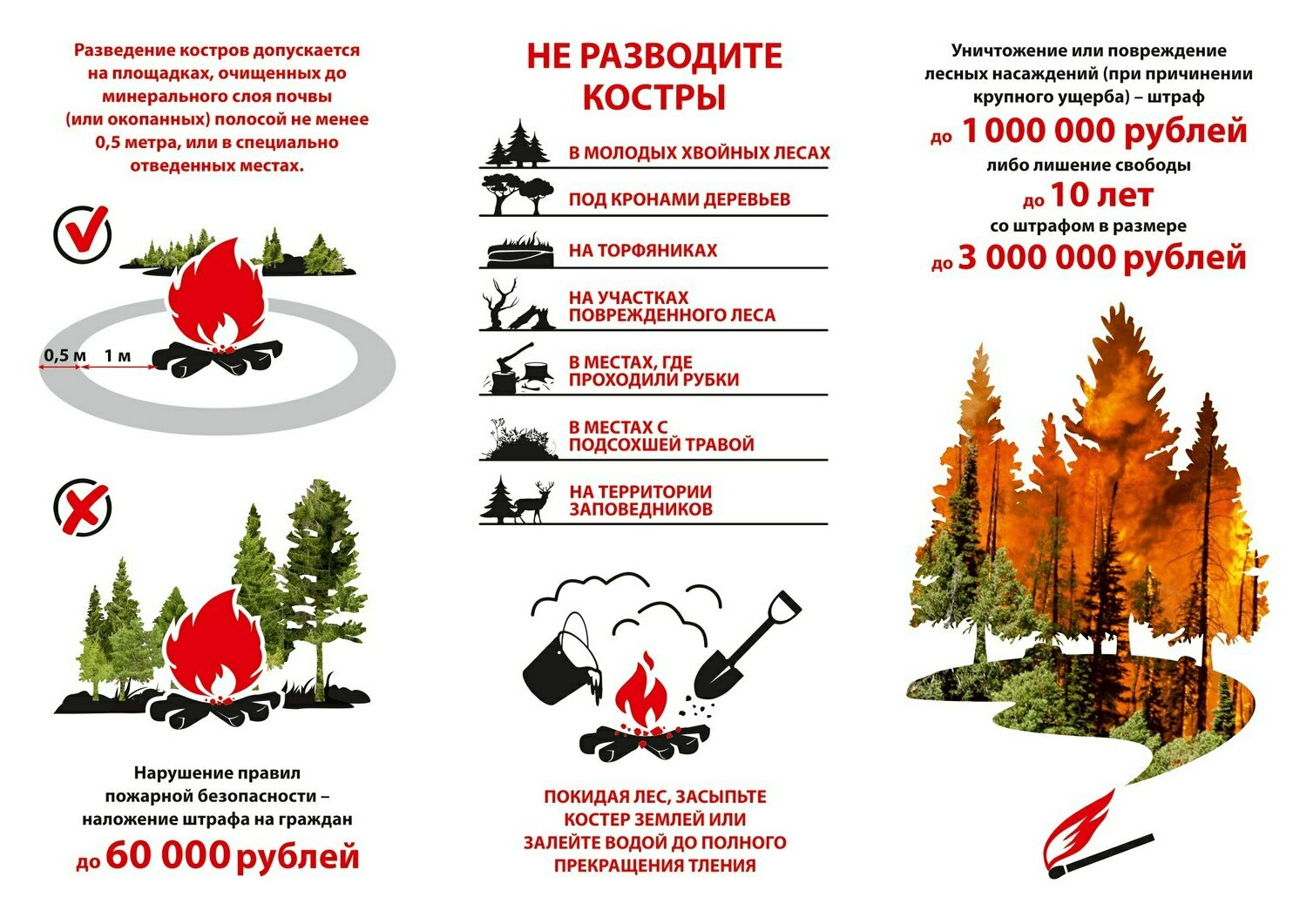 Источник изображения: https://vos-mo.ru/about/info/news/374/643029/?utm_medium=organic&utm_source=yandexsmartcamera Берегите лес от пожара